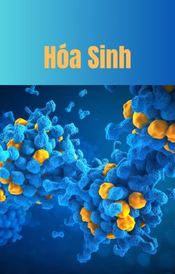 Hóa Sinh