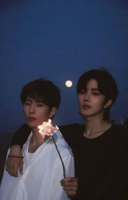[Hoa Vịnh x Thịnh Thiếu Du] Tình yêu không trở lại