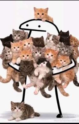 [Hoàn] Đặc Vụ Mèo Con 🐈