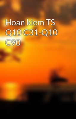 Hoan kiem TS Q10 C31-Q10 C90