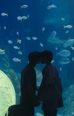 [HOÀN] Sau Khi Kết Hôn Chớp Nhoáng Với Bác Sĩ Từ - Chung Vãn Hạ