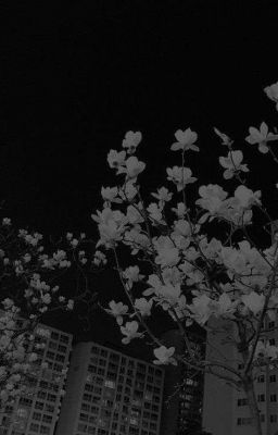 [ Hoàn Thành ] Quy Tắc khi Ngô vắng nhà [ Ft. Countryhumans ]