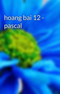 hoang bai 12 - pascal