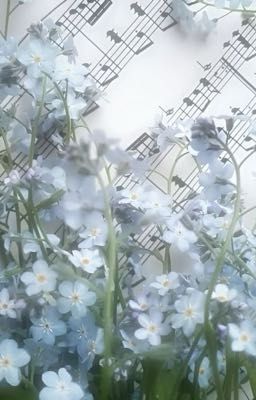 [Hoàng Huy] Tuyển tặp tình ju hế kỉ