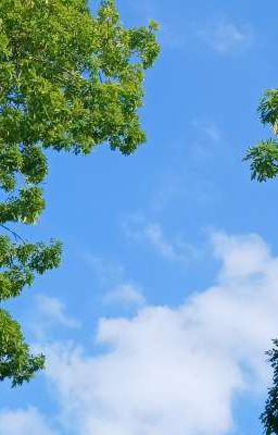 [Hoàng Khang] Em bé