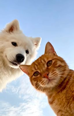 [HOANGHUY, ONESHOT] GIẬN DỖI