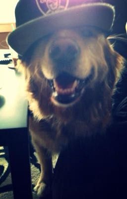 [HoangKhang] Bắt Vợ