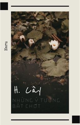 Hốc cây