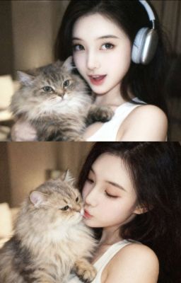 [ hogwarts boys x reader 2 ] tách ra làm p2 vì tôi thích thế 