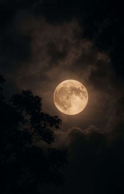 [Hồi Kí] TÀN NGUYỆT SẮC