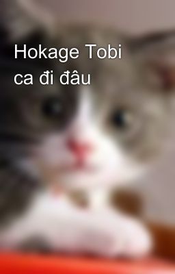 Hokage Tobi ca đi đâu