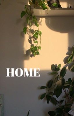 home | nguyên châu luật 