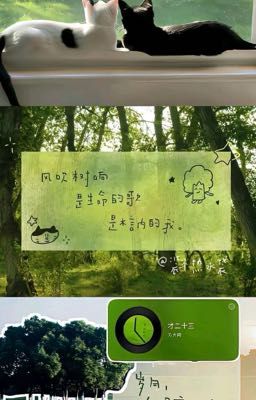 Hơn là bạn •ATSH2•