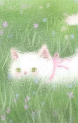 hoonhoonz ◞✭ ゛khuyết