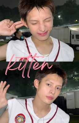 |Hoonjames| Kitten