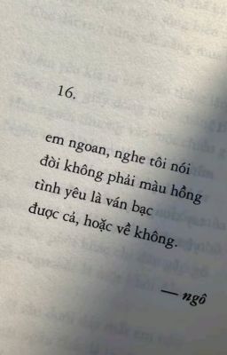 hoonjames- lọ đối đỉnh