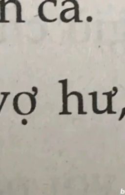 hoonjames ; mèo hư