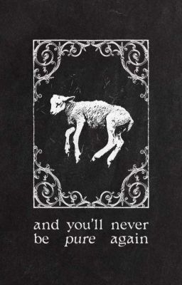 [hoonjames] • mộng tràm