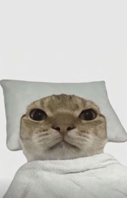 hoonjay•mày thôi chưa ?