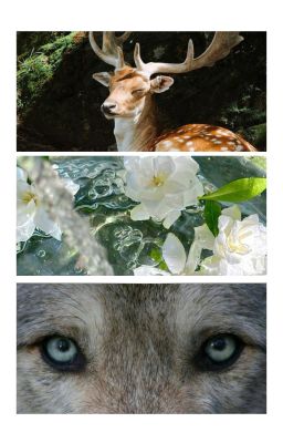 [Hoonkeon] Be Like A Deer