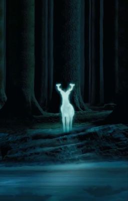 【HP Đồng Nhân 】With My Pleasure