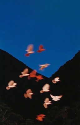 [HP] Wales