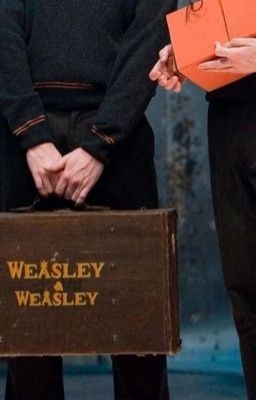 HP WEASLY TWINS | ten out of ten