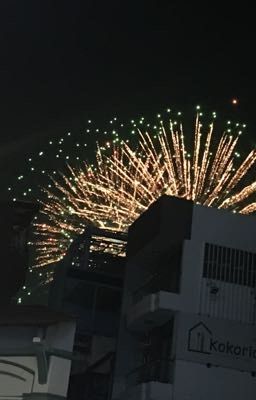 Hứa hôn ngộ