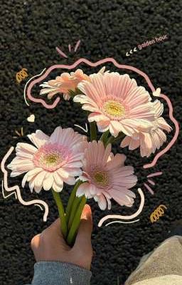 [Huấn văn] [Đam mỹ] Bên khung cửa có người đang đợi