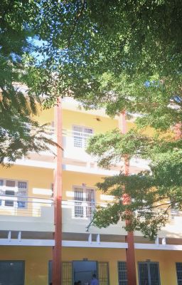 [Huấn Văn] Viết Năm Mười Bốn