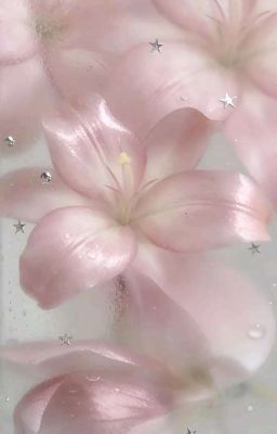HùngAn | Tin đồn 