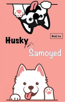 Husky Và Samoyed (Edit)