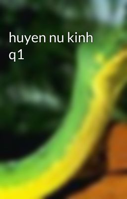 huyen nu kinh q1