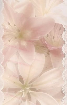 |Hyeonmar| Forget Me Not