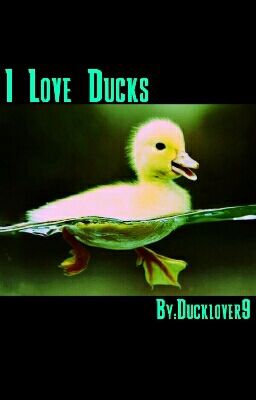 I Love Ducks!
