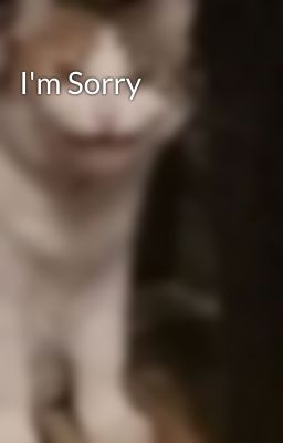 I'm Sorry