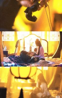 [If]- Bất Tề Nhi Du