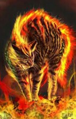 Into the flames