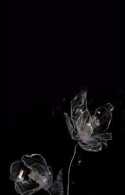 Isekai và nên làm gì?