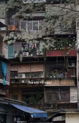 [ IvanThien ] Hà Nội và Sưa