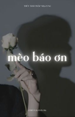 [JAESAHI] Mèo Báo Ơn