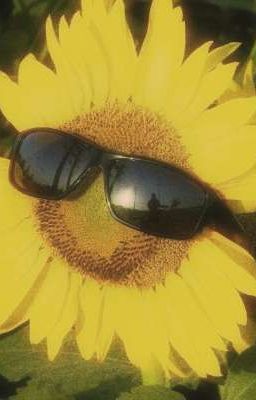 [ jamesmar ] chầm chậm chân bước 