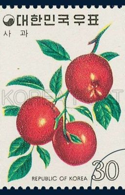 jayhoon; red red apples