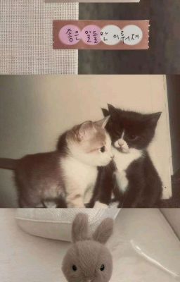 【JeongLee】 ༗ Chuyện Của Loài Mèo