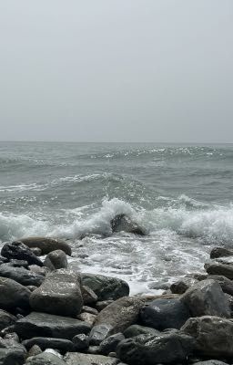 JeyNam | 𝙻𝚘𝚟𝚎 𝚊𝚗𝚍 𝚂𝚎𝚊 