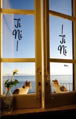 | Jimin | Tí Ni Tí Nị