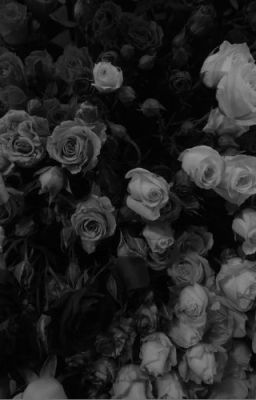/Jiminjeong/ Máu khô dưới cánh hoa hồng [Shortfic]