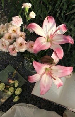 [JJK x READER] Chuyện Tụi Mình