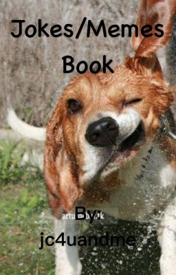 Jokes/Memes Book