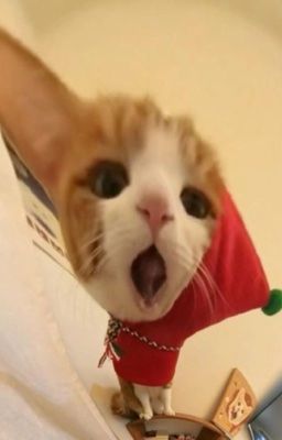 jsolkng; thơm má